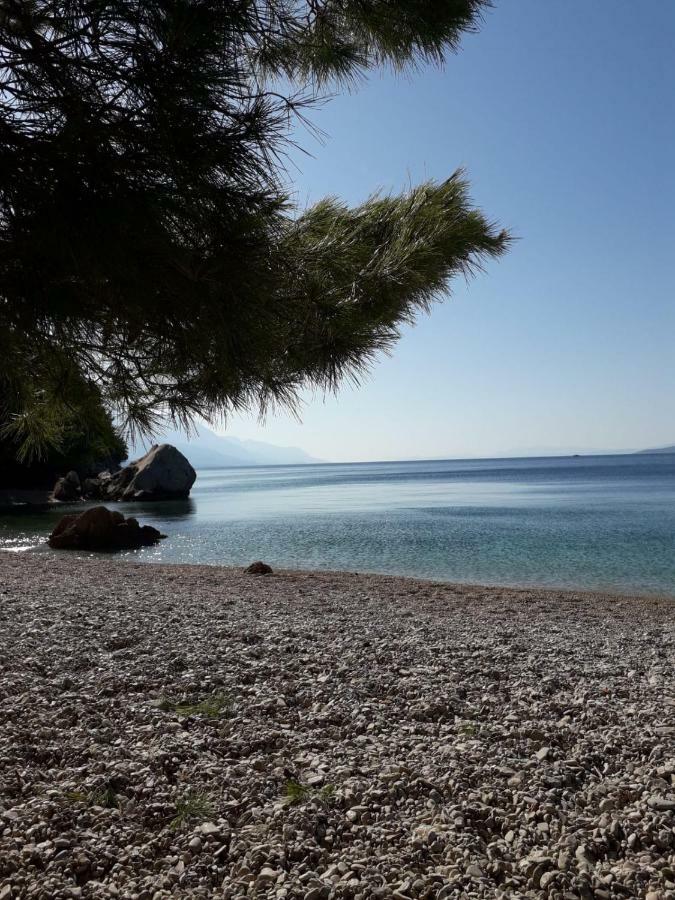 Marusici  Holiday Home Perlica מראה חיצוני תמונה